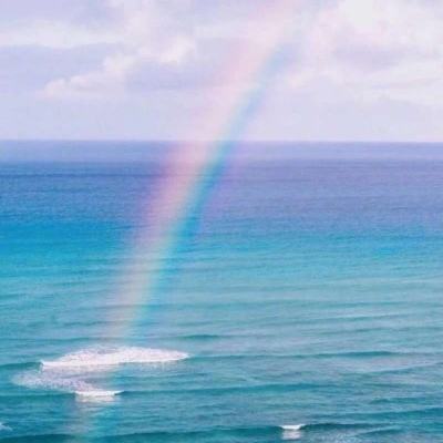 体育冠军乒乓皇