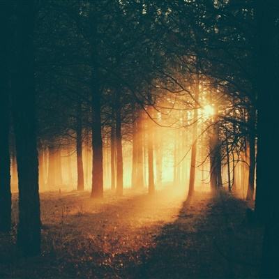 小兔子复活节骑车